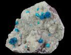 Vibrant Blue Cavansite Clusters on Stilbite - India #64802-1